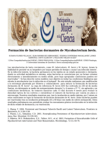 Formación de bacterias dormantes de Mycobacterium bovis.