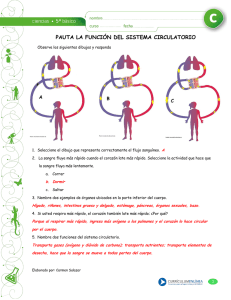 PAUTA LA FUNCIÓN DEL SISTEMA CIRCULATORIO