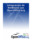Manual de generación de funciones con NetBeans para OpenOffice