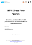 hpv direct-flow chip kit
