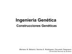 Construcciones genéticas