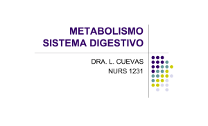 METABOLISMO SISTEMA DIGESTIVO