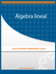 Algebra lineal