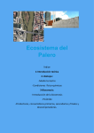 Ecosistema del Palero - Museo de la Ciencia de Valladolid