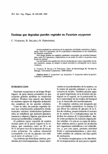 Enzimas que degradan paredes vegetales en Fusarium oxysporum