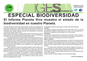 NEWSLETTER FEBRERO2015