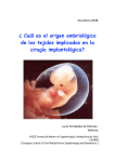 Cuál es el origen embriológico de los tejidos implicados en
