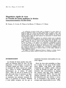 Diagnóstico rápido de virus en frutales de hueso mediante la