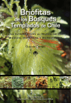 Briófitas de los bosques templados de Chile.