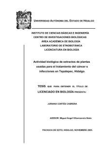 Actividad biológica de extractos de plantas usadas para el