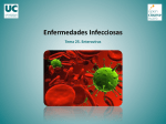 Enfermedades Infecciosas. Tema 25. Enterovirus