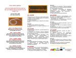 Programa de la Actividad