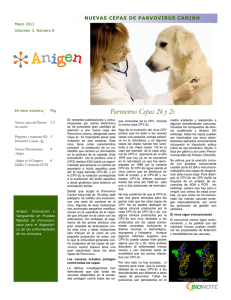 NO. 1 MAYO 2011 - Bionote | México