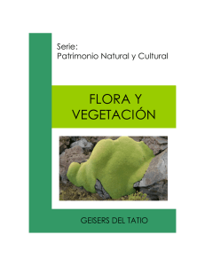 flora y vegetación - Centro de Estudios Agrarios y Ambientales