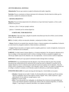 APUNTES BIOLOGIA: SISTEMAS Alimentación: Proceso que