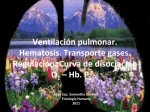 Ventilación pulmonar. Hematosis. Transporte gases. Regulación