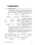 5. Metabolismo - MICROBIOTA - Bibliografía sobre microbiología