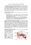 Tema 4. 2. LOS ÓRGANOS DE LOS SENTIDOS
