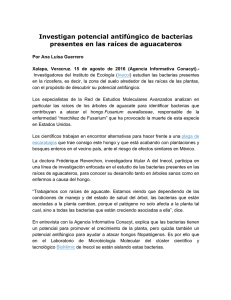 Investigan potencial antifúngico de bacterias