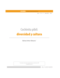 Cochinita pibil: diversidad y cultura