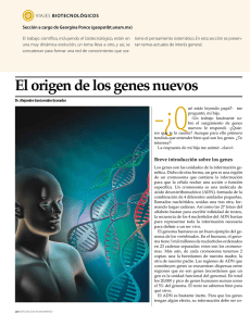 El origen de los genes nuevos