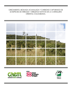 crecimiento, biomasa acumulada y carbono