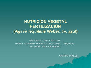 NUTRICIÓN VEGETAL Y FERTILIZACIÓN (Agave tequilana Weber