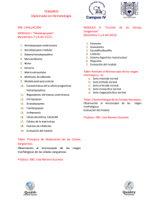 TEMARIO Diplomado en Hematología