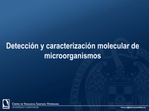 Detección y caracterización molecular de microorganismos