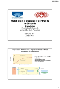 metabolismo glucidico y control de la glicemia clase 6
