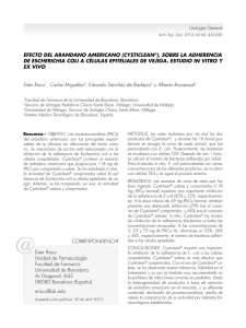 Español  - SciELO España