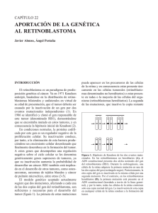 22-40-GENETICA RETINOBLASTOMA.qxd