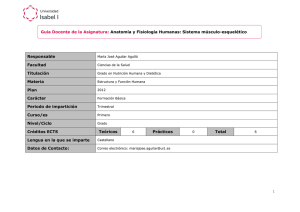 Anatomía y fisiología humanas: sistema músculo