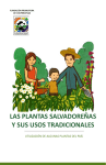 las plantas salvadoreñas y sus usos tradicionales