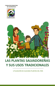 las plantas salvadoreñas y sus usos tradicionales