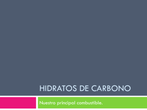 presentacion-Hidratos-de