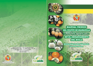manual tecnico del cultivo de granadilla en el Huila