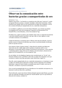 Observan la comunicaci&oacute;n entre bacterias gracias a