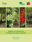manual de plantación de árboles en áreas urbanas