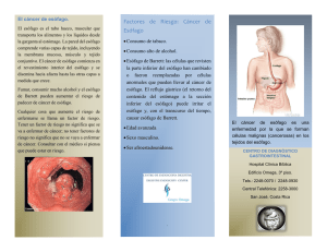 File - Diagnóstico Gastrointestinal