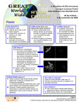 guía de actividades - Windows to the Universe