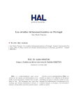Los estudios latinoamericanistas en Portugal - Hal-SHS