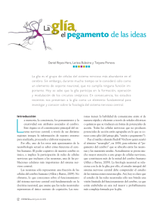 La glía - Revista Ciencia
