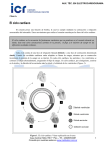 El ciclo cardíaco