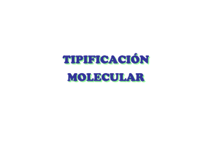 tipificación molecular tipificación molecular