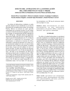 Efecto del antraceno en la estimulación del crecimiento en maíz y