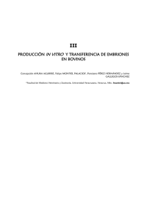 Producción in vitro – Texto