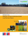 manual de recomendaciones cultivo de trigo