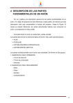 4_DESCRIPCION DE LAS PARTES FUNDAMENTALES DE UN