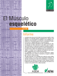 EL MUSCULO ESQUELETICO Documento ASEM